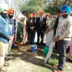 TREE PLANTATION